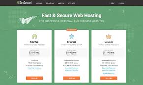 Best hosting service